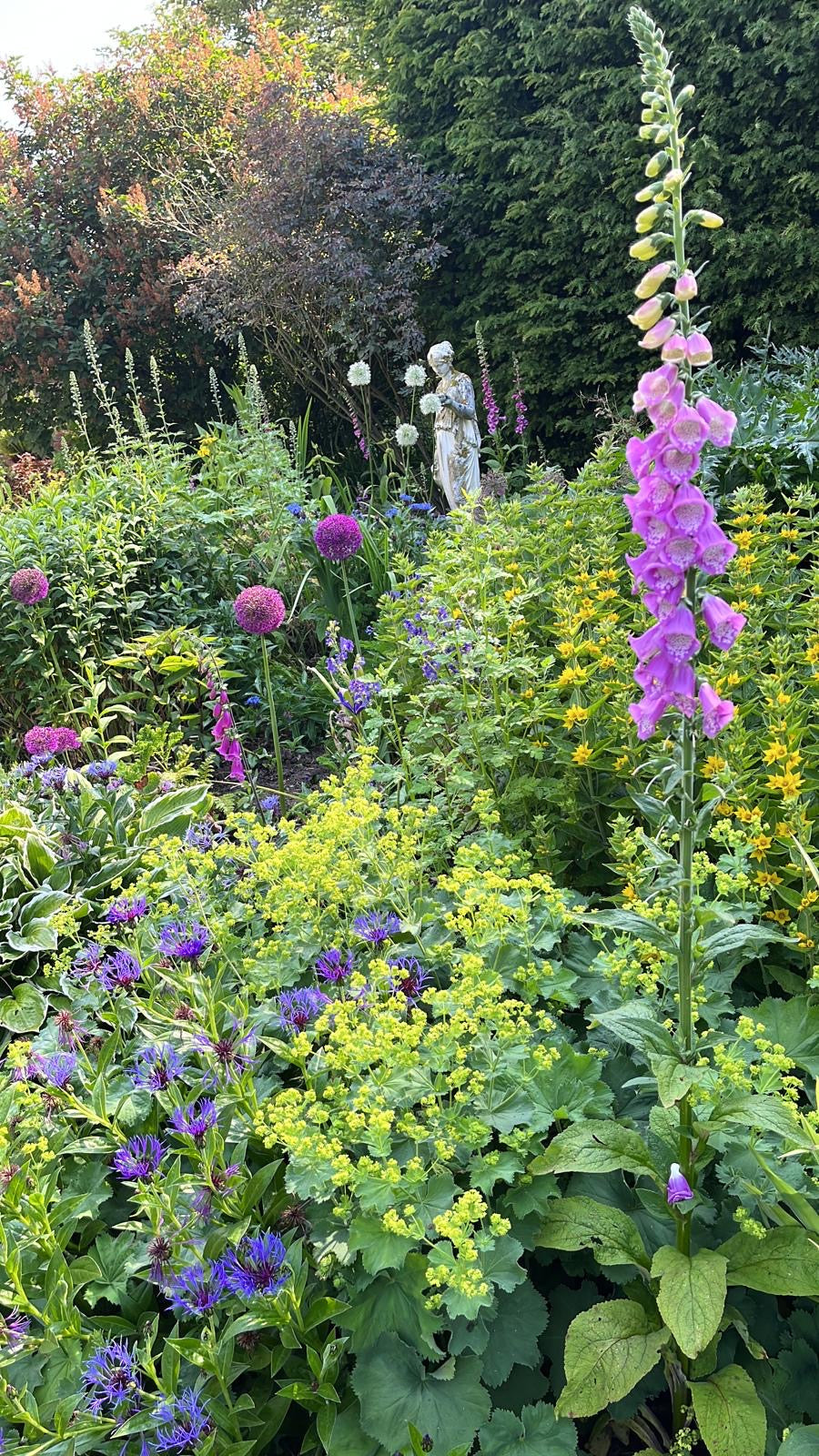 Stretch and Sketch - Art in the Garden, Wednesday 3rd June 2026 10am til 3pm