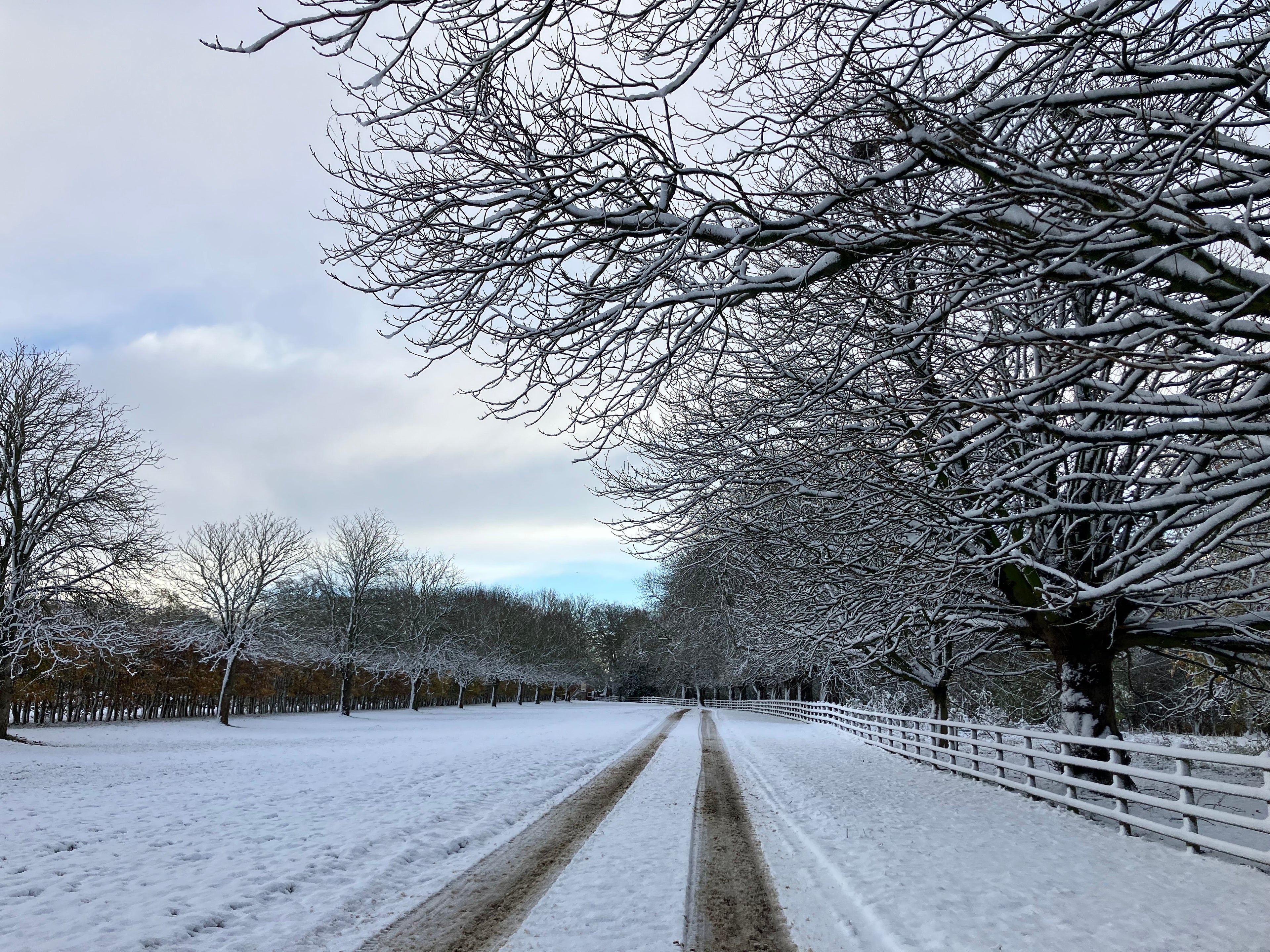 Christmas Wreaths, Handmade  Cards and Afternoon Tea at Dowthorpe Hall - Saturday 12th December, 1-5pm