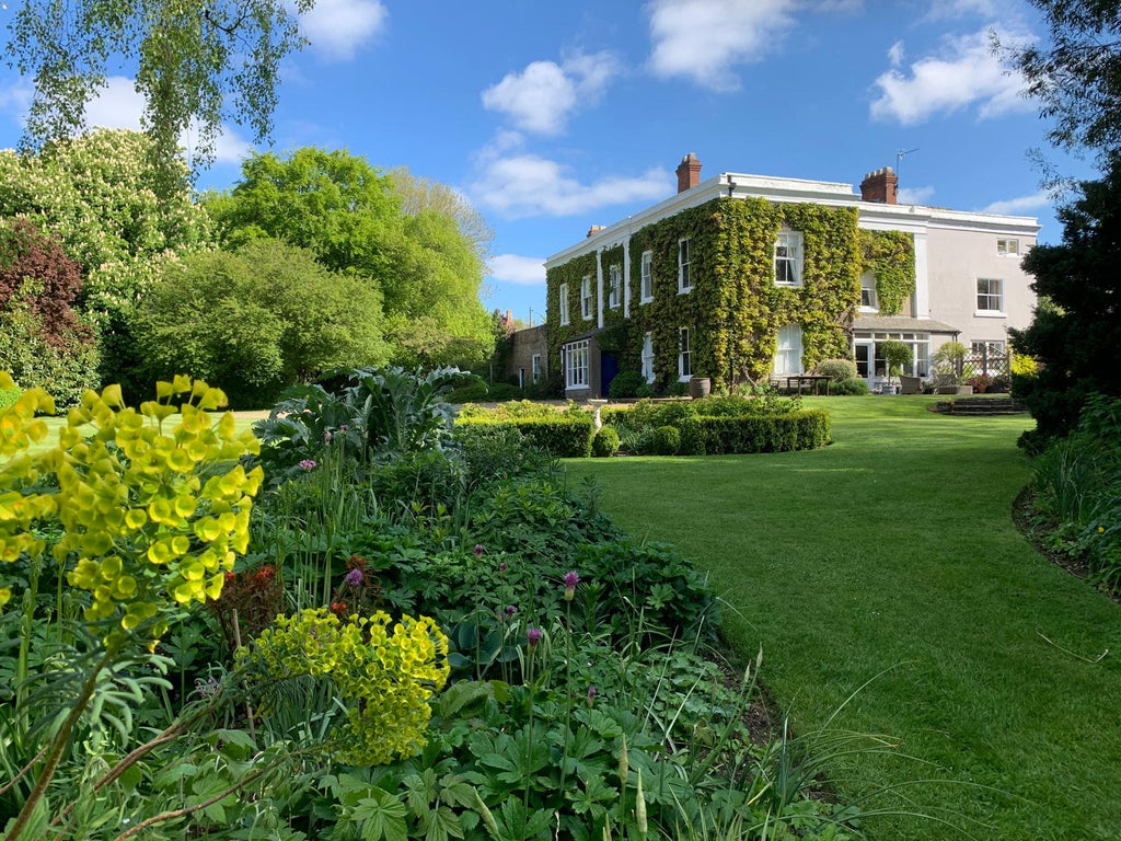 Stretch and Sketch - Art in the Garden, Wednesday 3rd June 2026 10am til 3pm